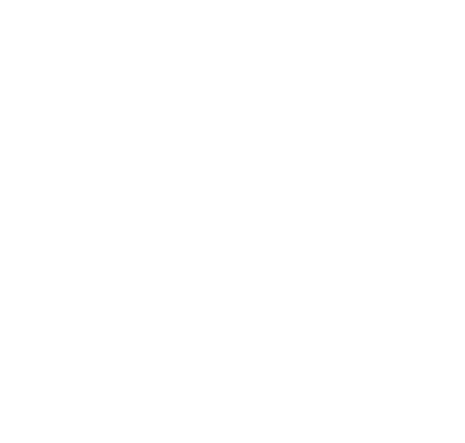Velis Conseil